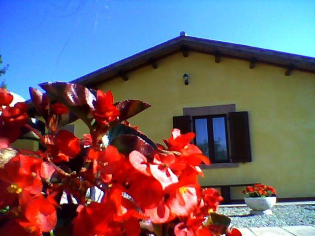 La Quiete Bed & Breakfast Acquapendente Exterior foto
